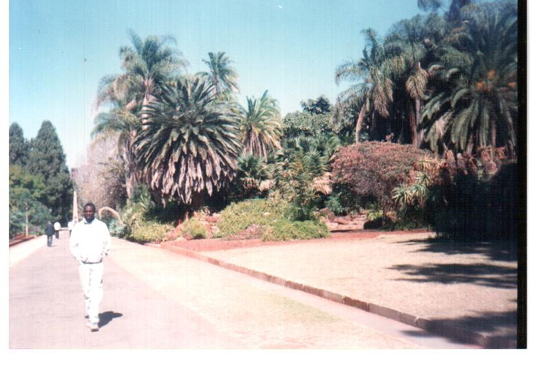 Harare Gardens 001