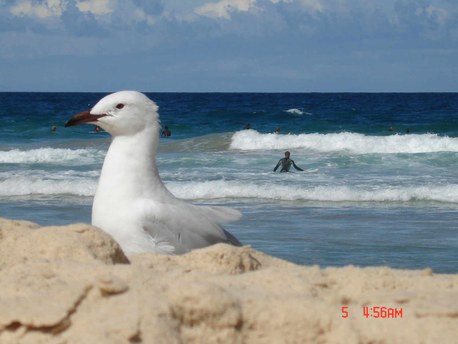 Bondi Beach Na mizú mit bámulsz?