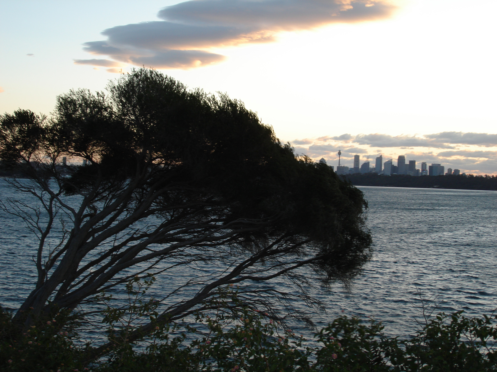 Watsons Bay:)