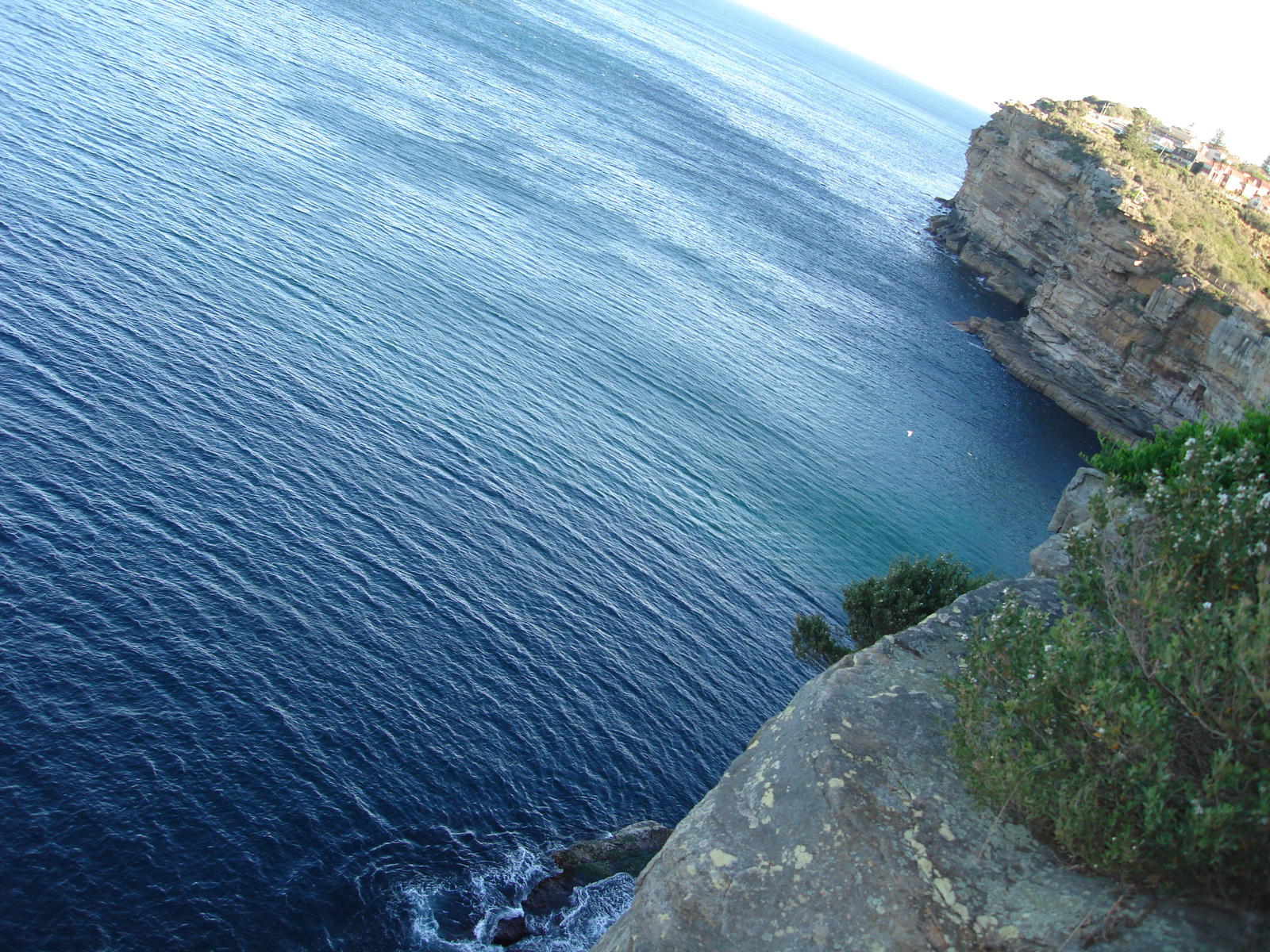 Watsons Bay:) Sziklák:)