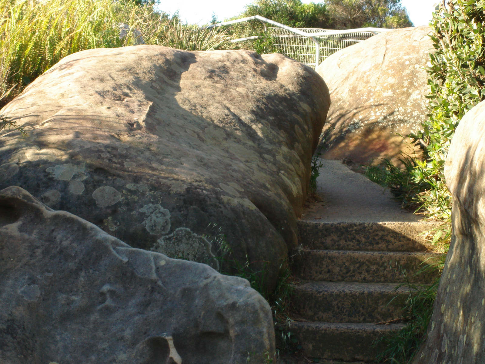 Watsons Bay:)