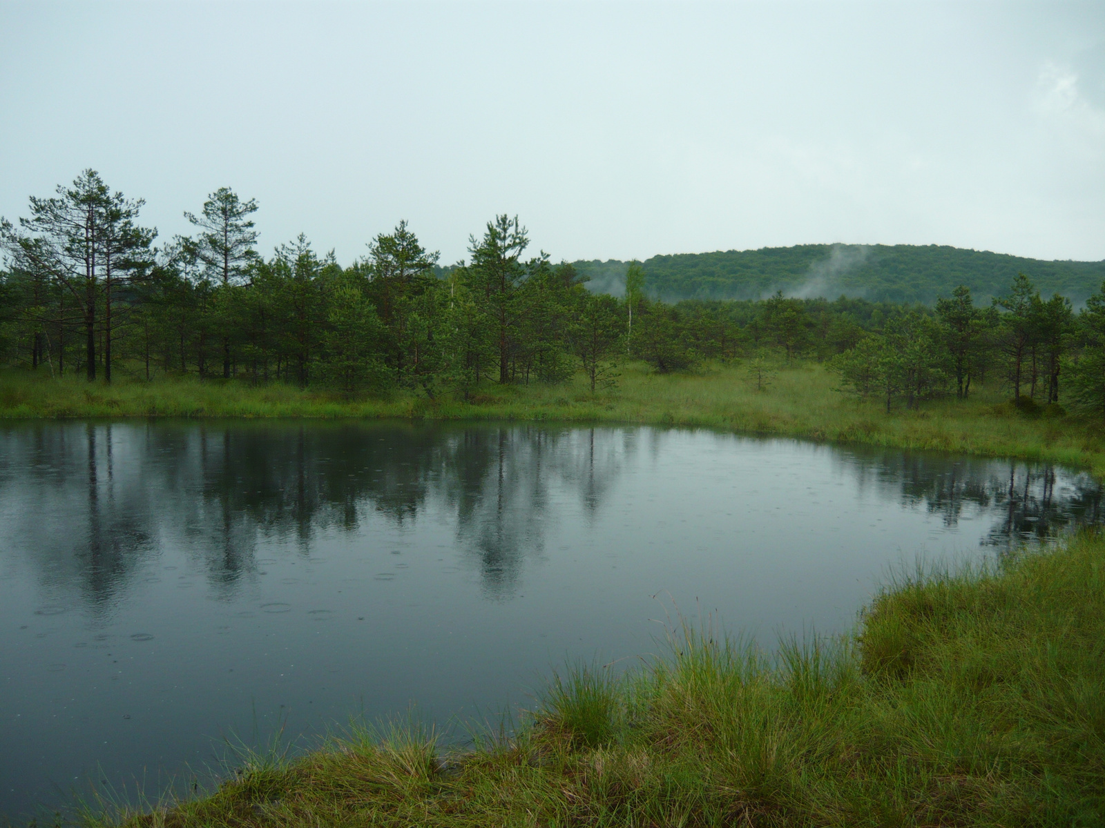 A Mohos-lápon