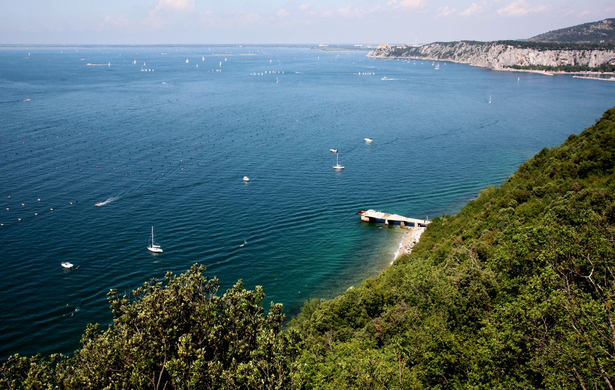 Trieste felé..