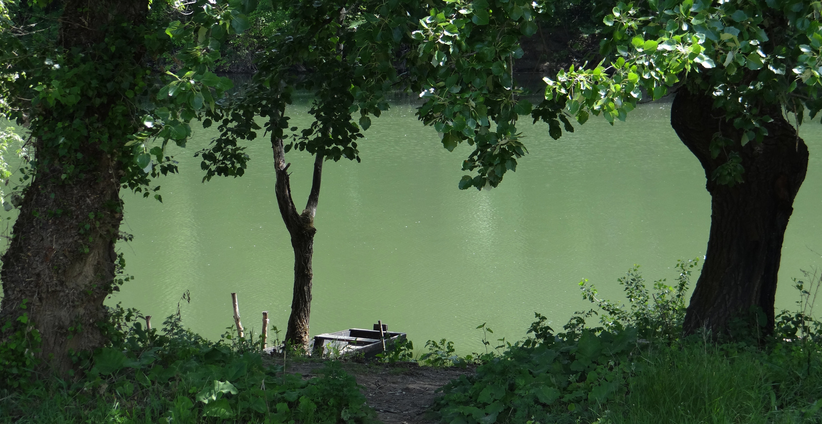 Tokaj Bodrogpart