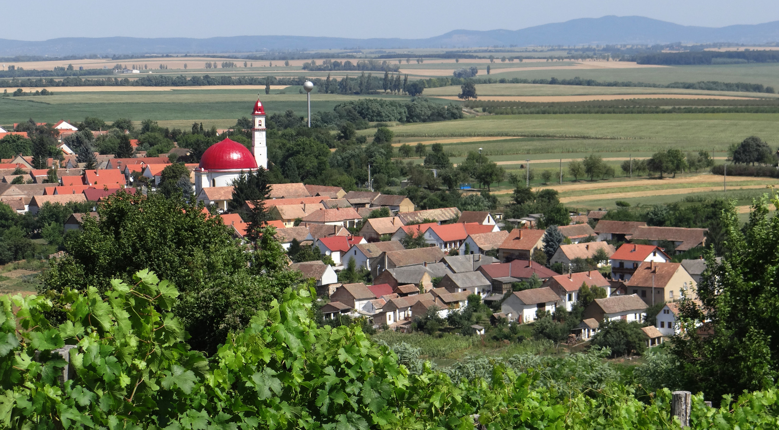 Palkonya látképe 1.