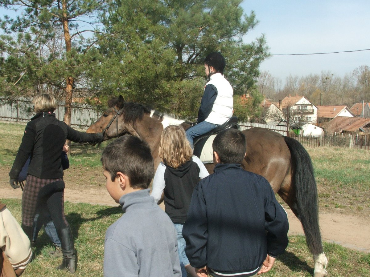 Lovaglás 2012. márc. 21