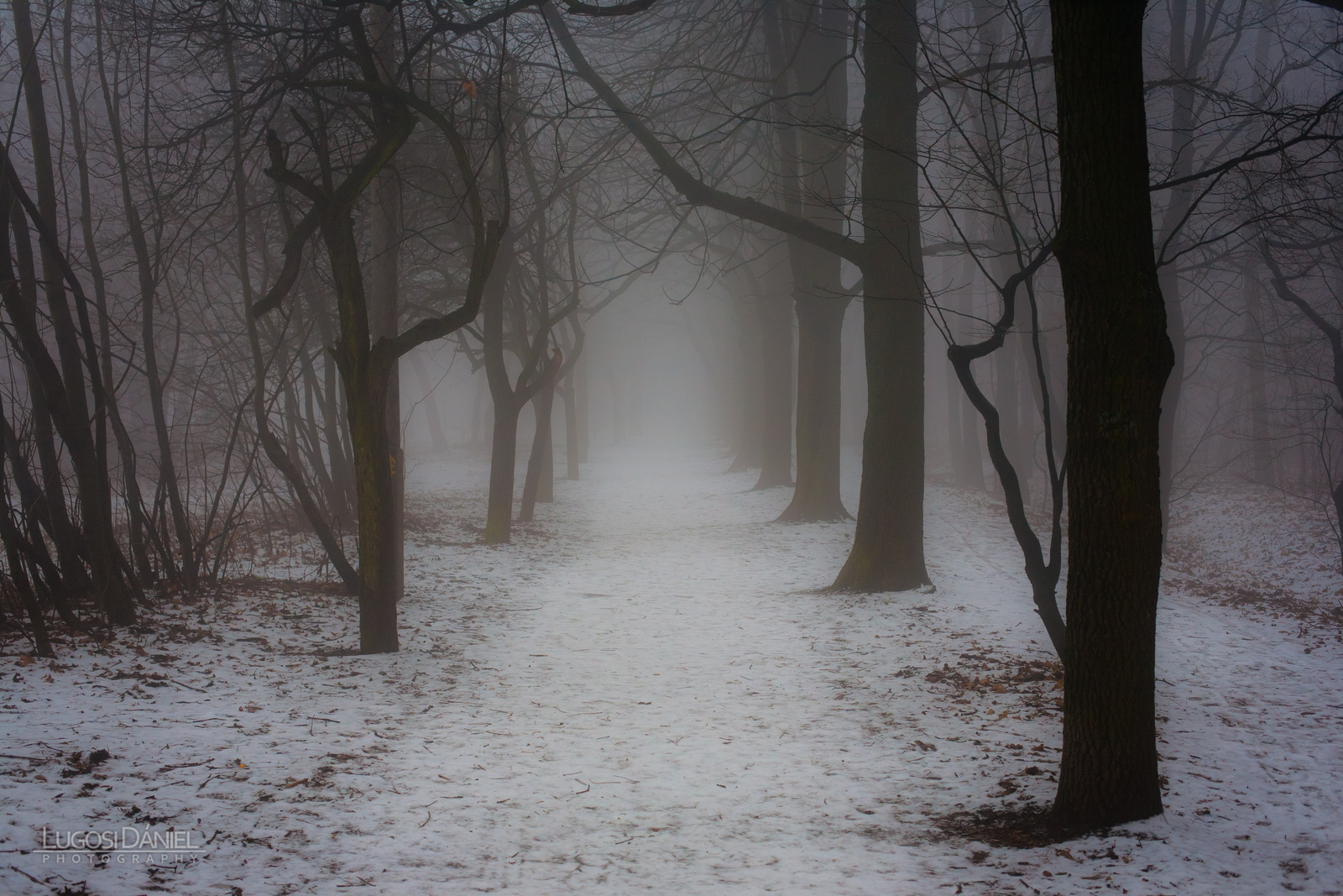 Ködös ösvény