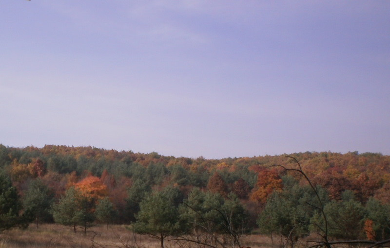 Borsodi táj ősszel