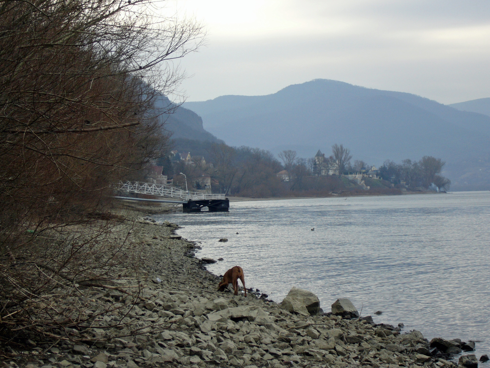 Még kihalt a Dunapart