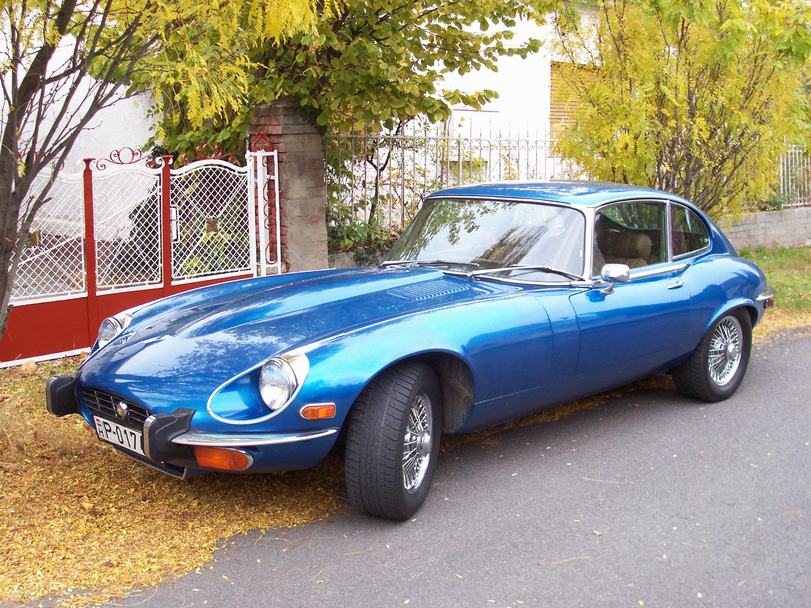 Jaguar E Type (1)