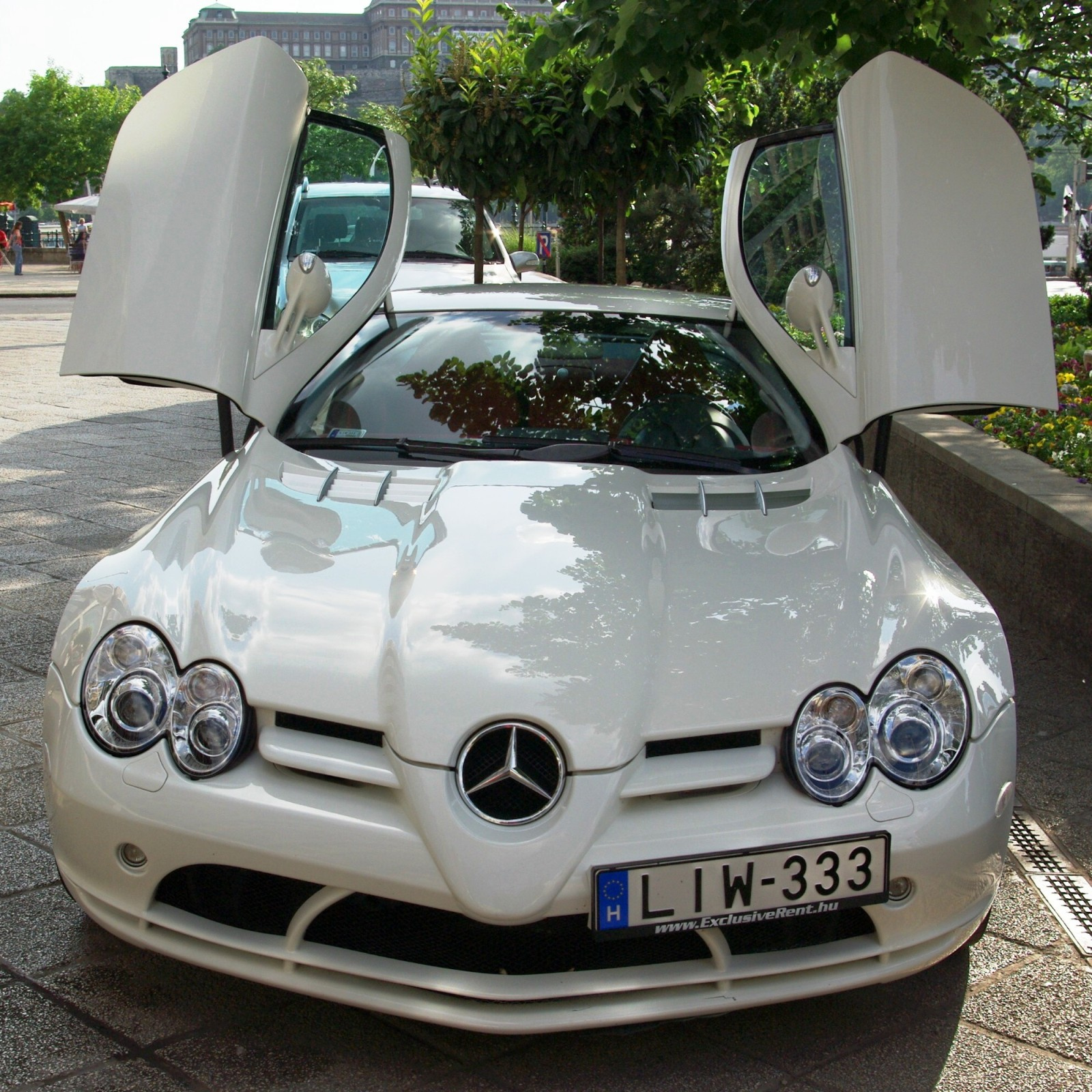 SLR - Opened Wings (4)