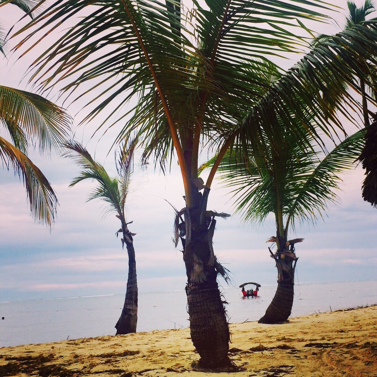 Bavaro Beach