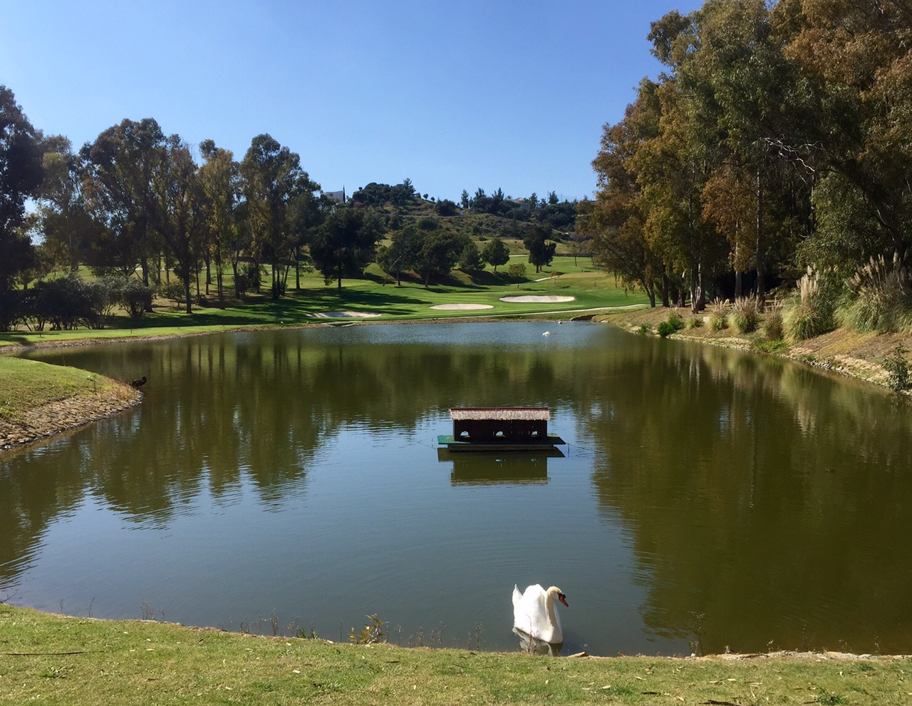 Old Atalaya Golf Club