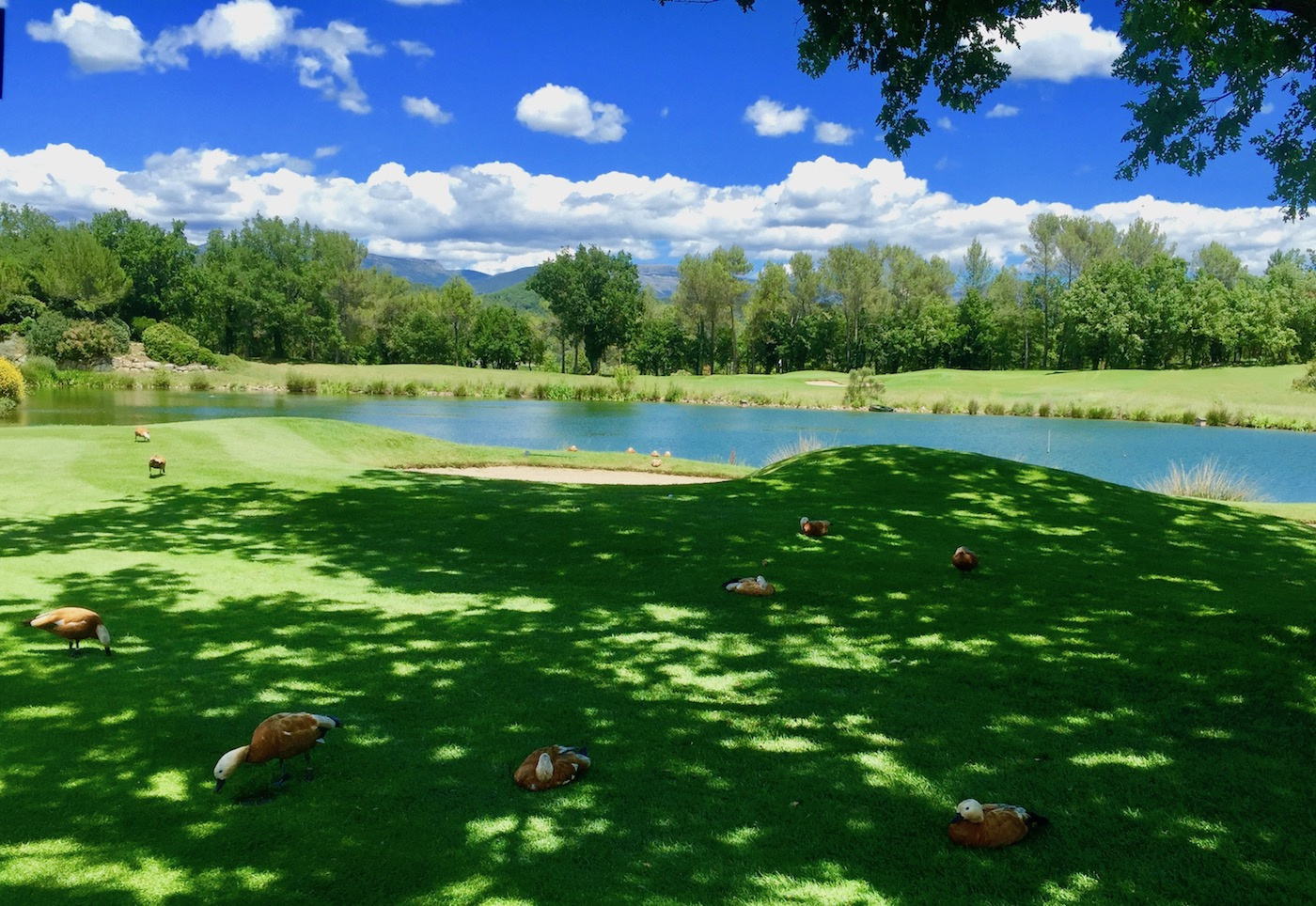 Terre Blanche Golf, Tourrettes