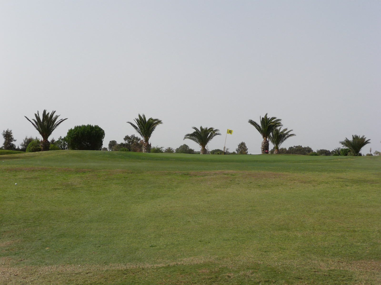 Monastir - Palm Links