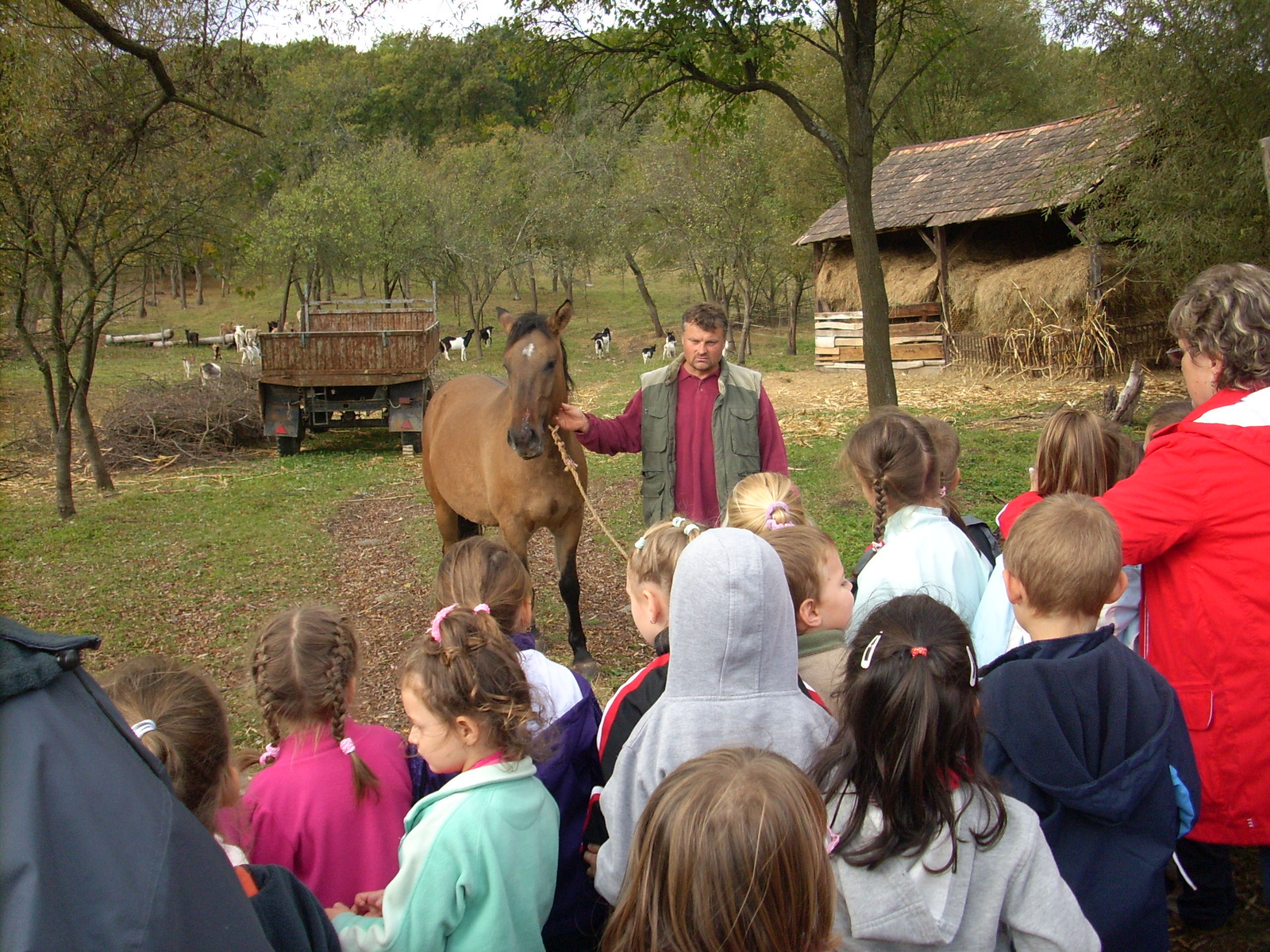 Gömörszőlős (44)