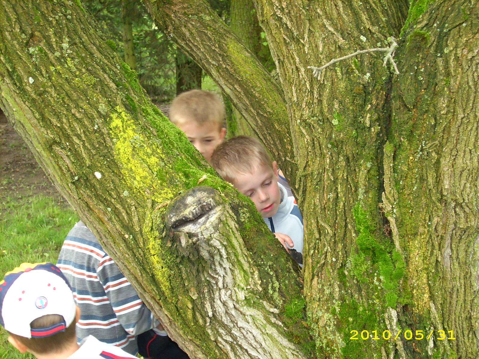 2010 Kelecsény 093