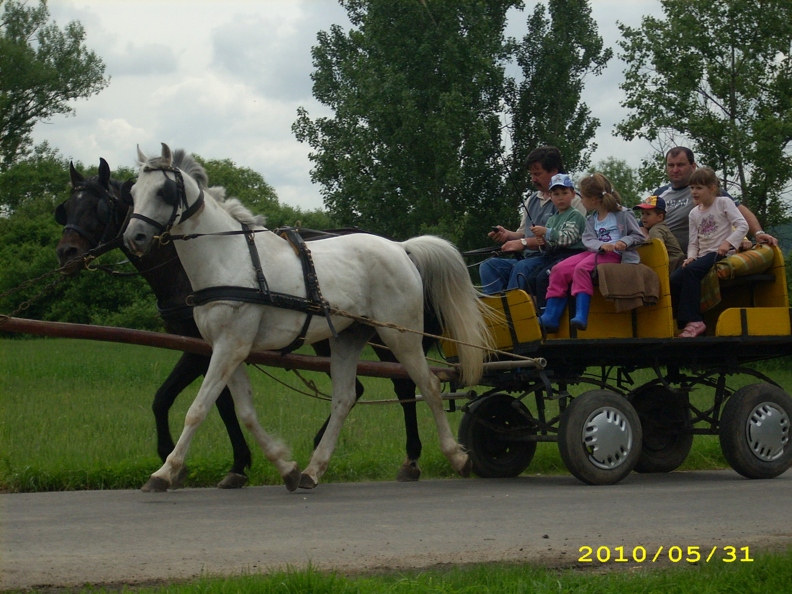 2010 Kelecsény 156