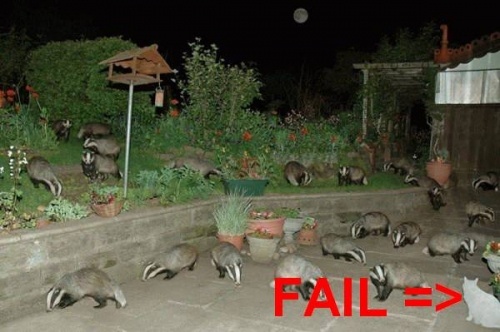 badgerfail