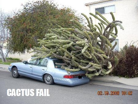 cactusfail