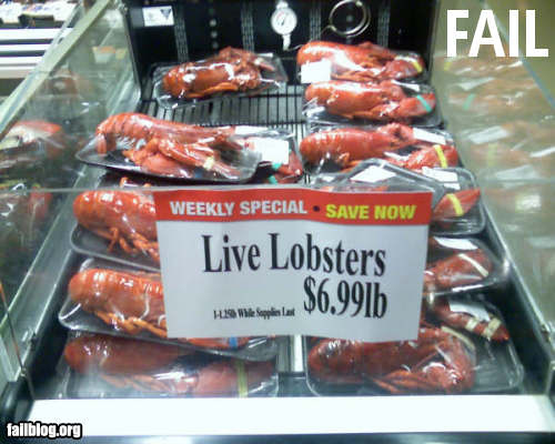 fail-owned-live-lobster-sign-fail