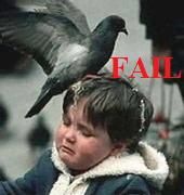 pigeonfail