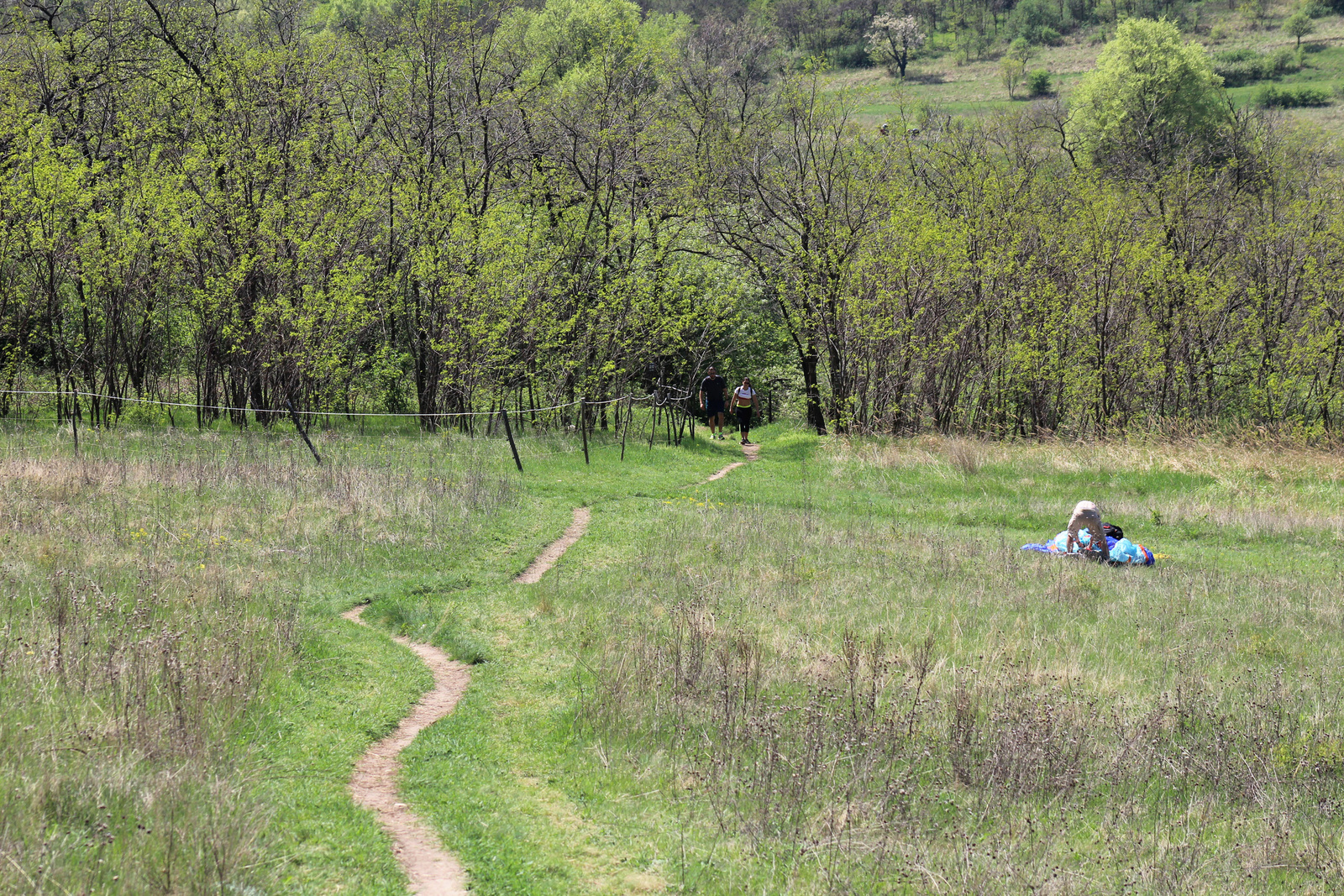 20180421-24-OregSzirt-ZoldJelzesKitero