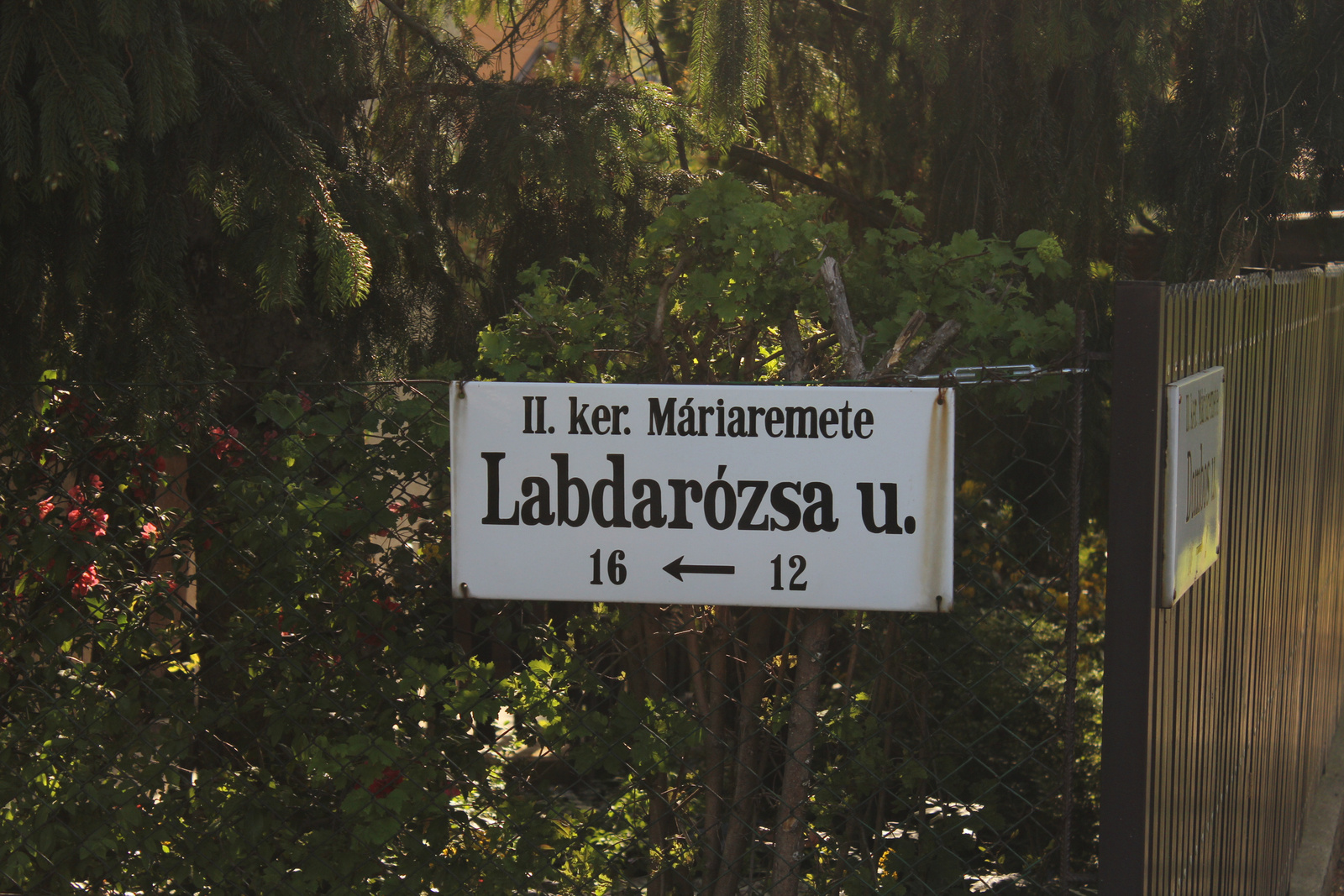 20180422-093-LabdarozsaUtca