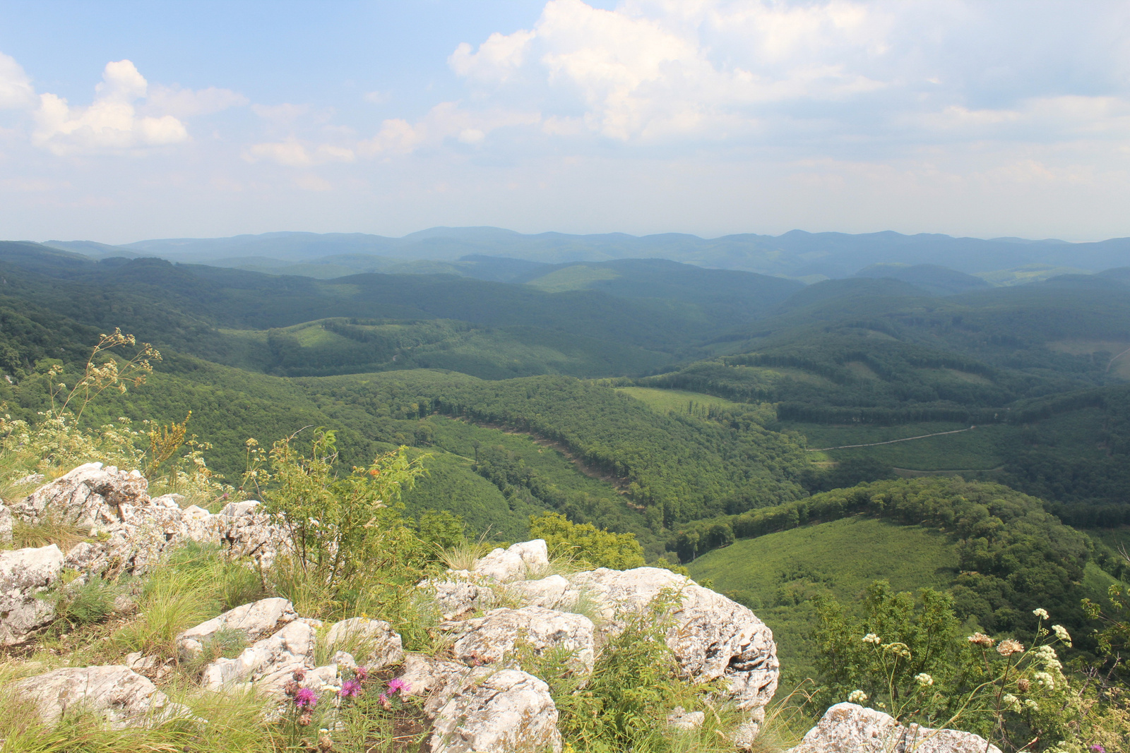 20180721-37-TarKo