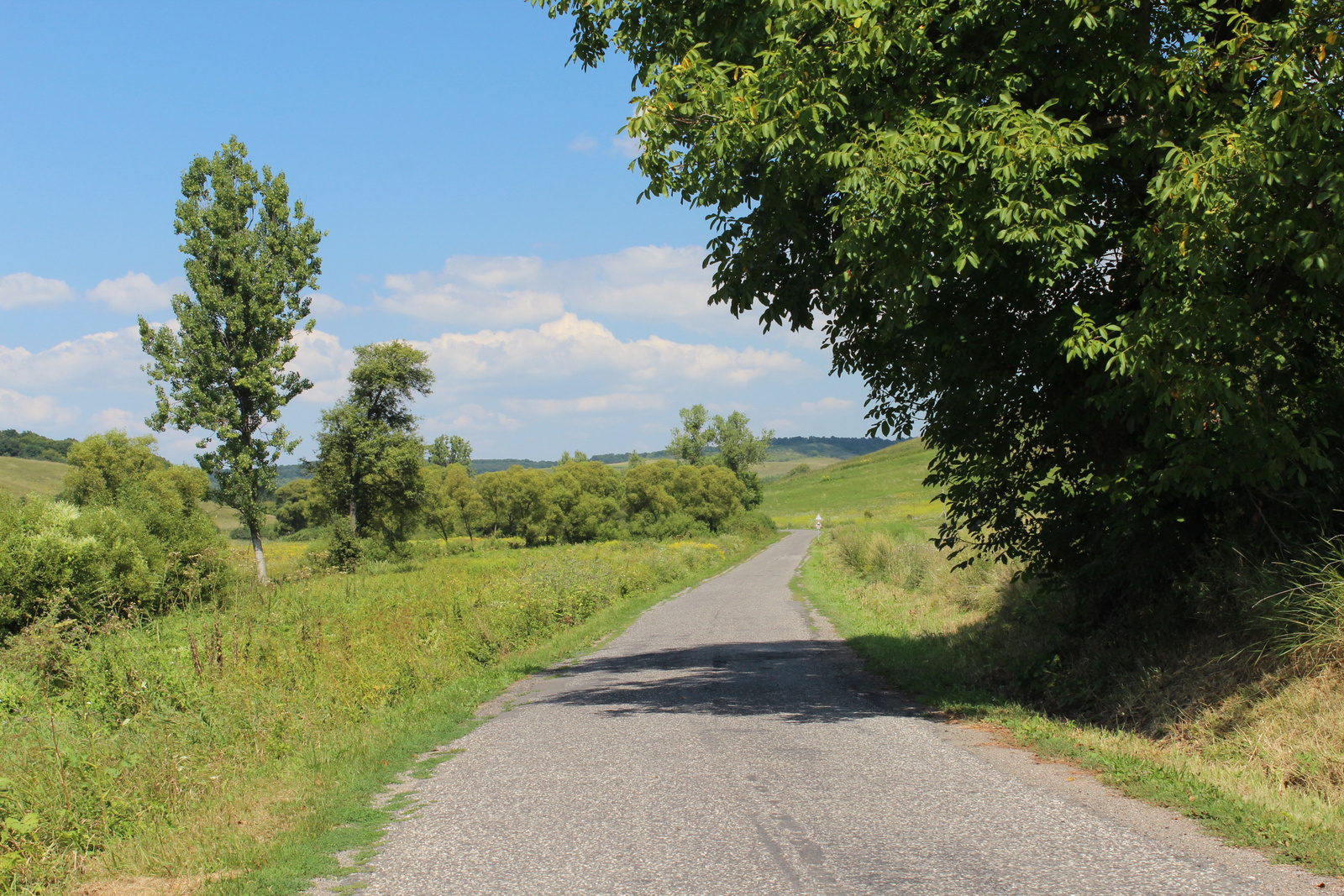 20180804-60-Kelemer-GomorszolosKozott