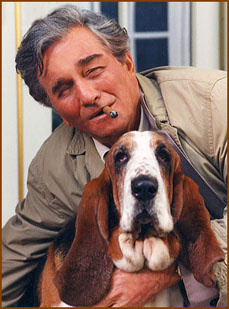 columbo basset