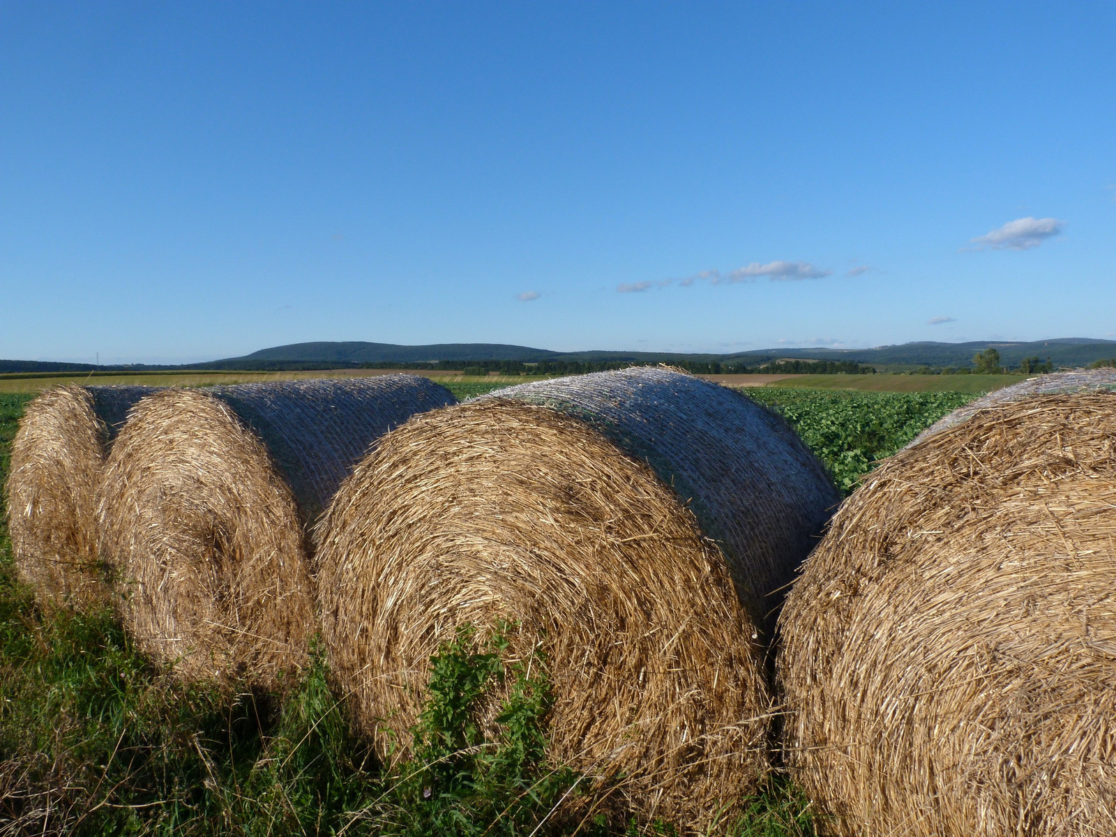 Szentgál