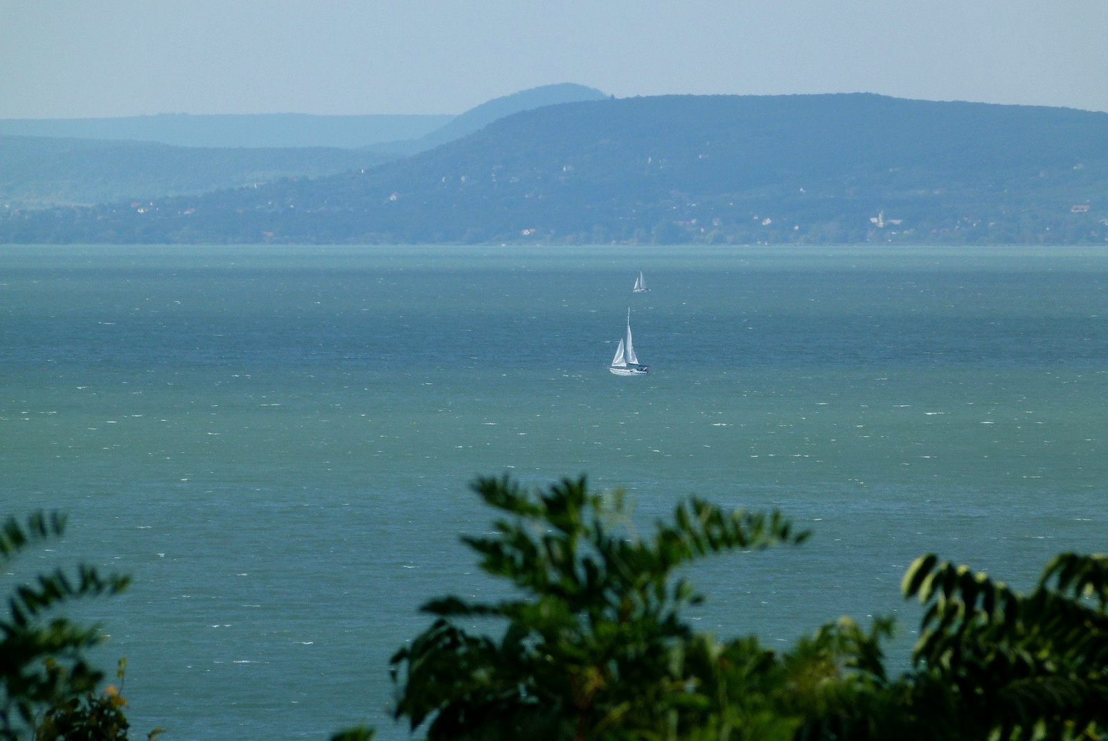 Balaton