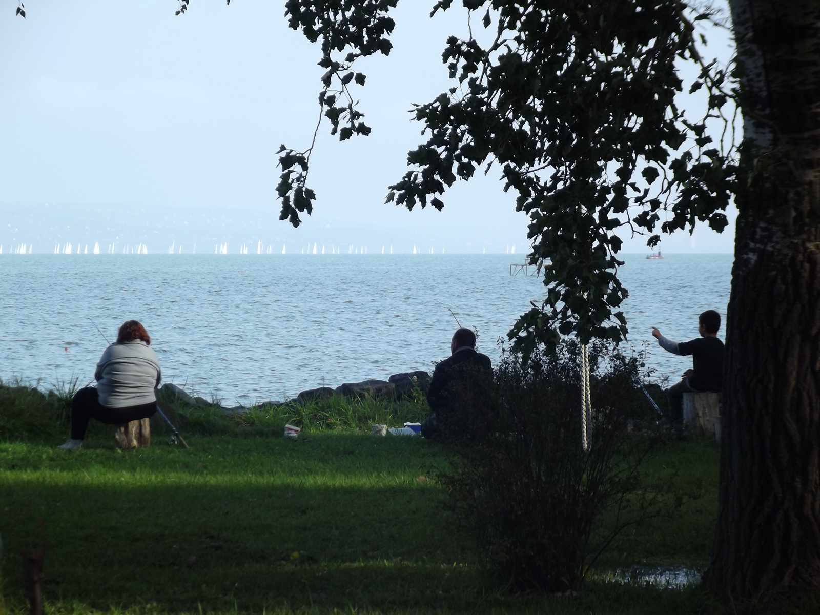 balaton 2014 09 21 022