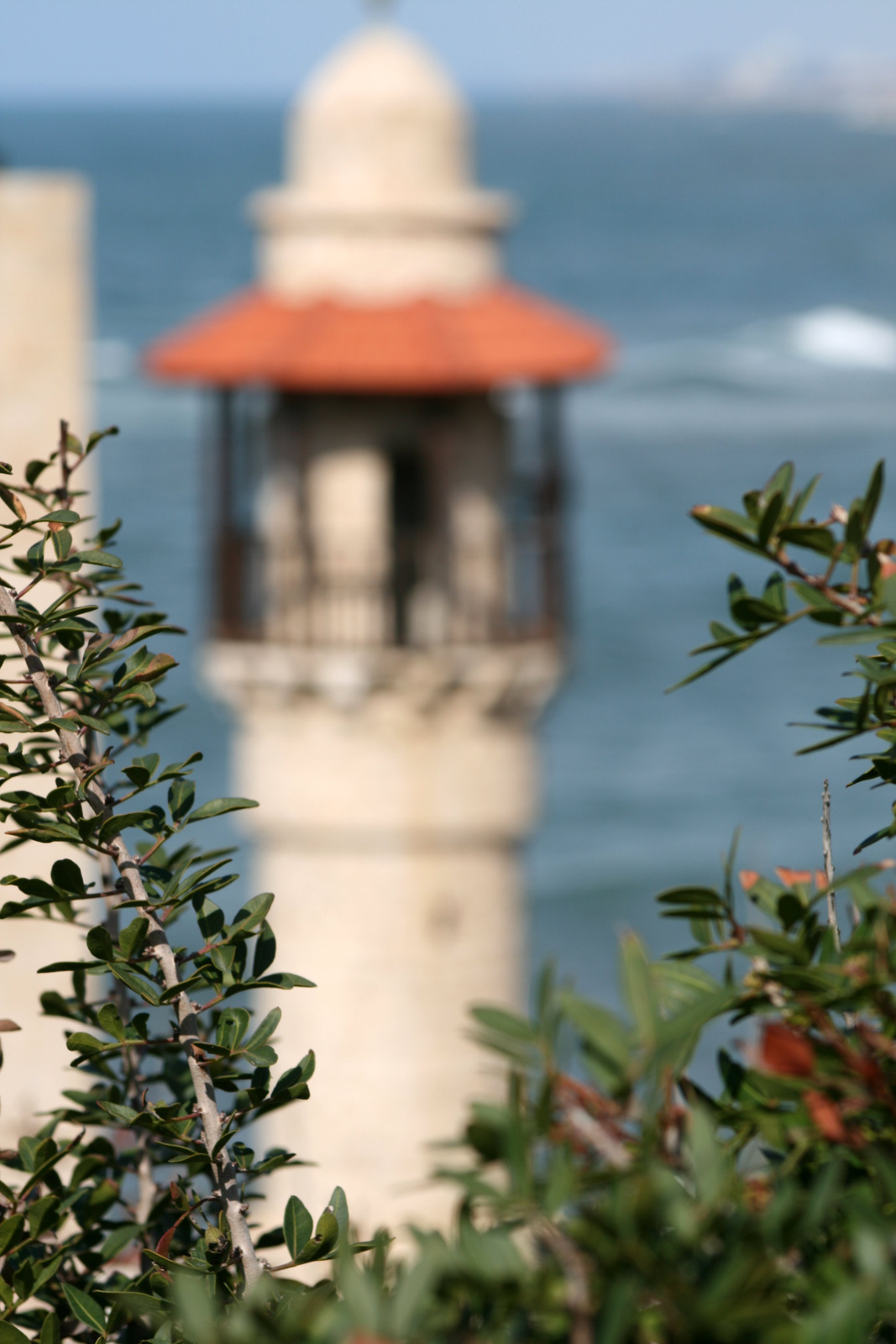 Izrael, Jaffa