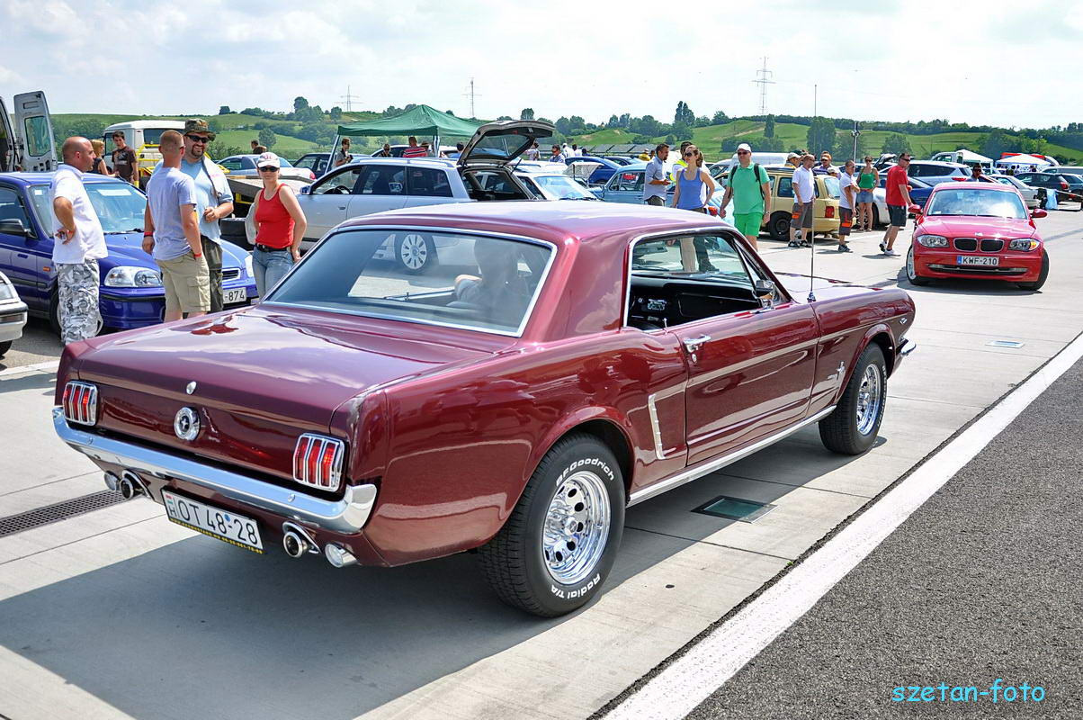 10206 Mustang
