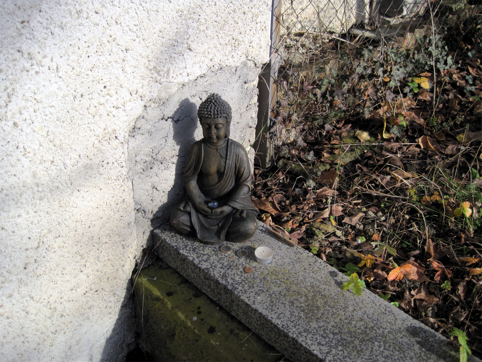 buddha08