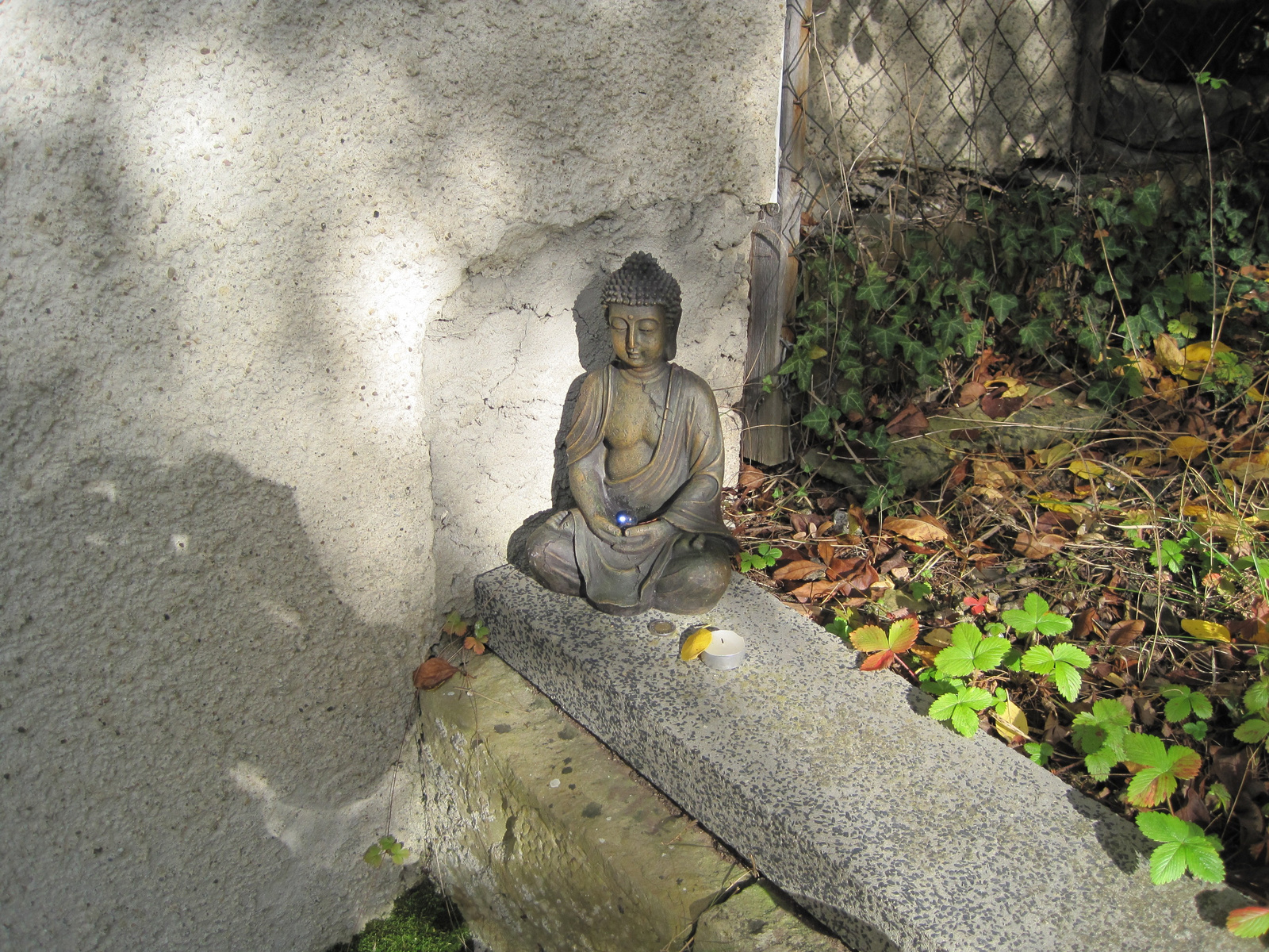 buddha02