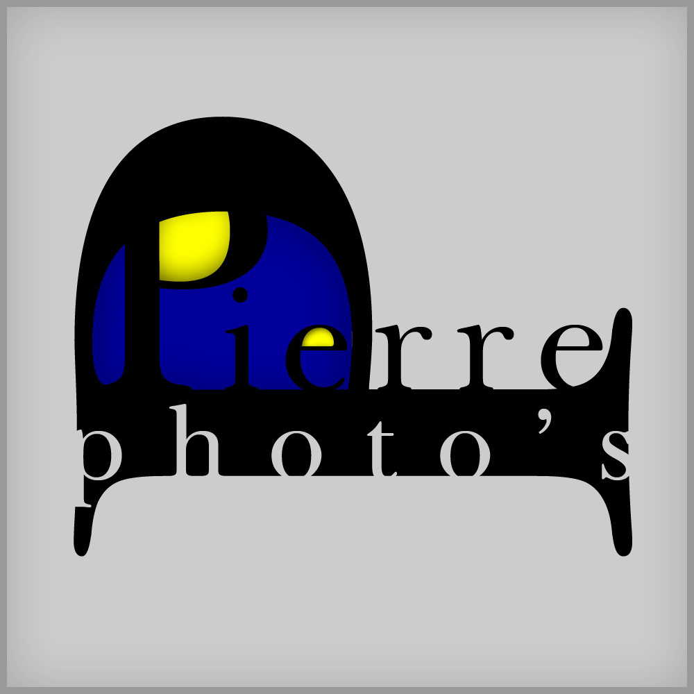 logo pierre photo