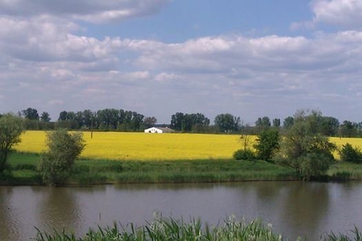 HOLT TISZA REPCÉS