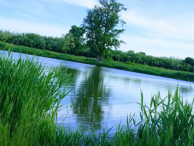 Holt Tisza Rokkantrét