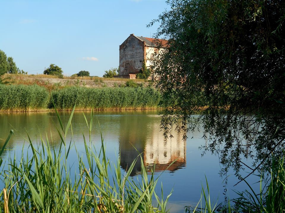 Holt-Tisza Fegyvernek