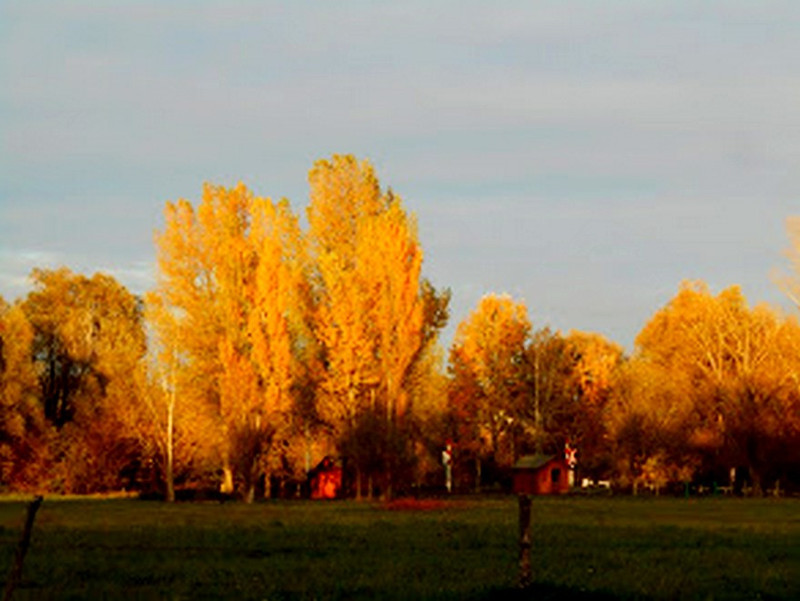 Balatongyörök3