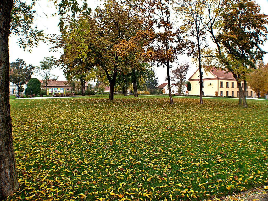 Grassalkovich kastély, Hatvan