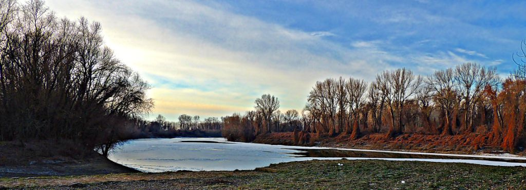 "Ice" Tisza