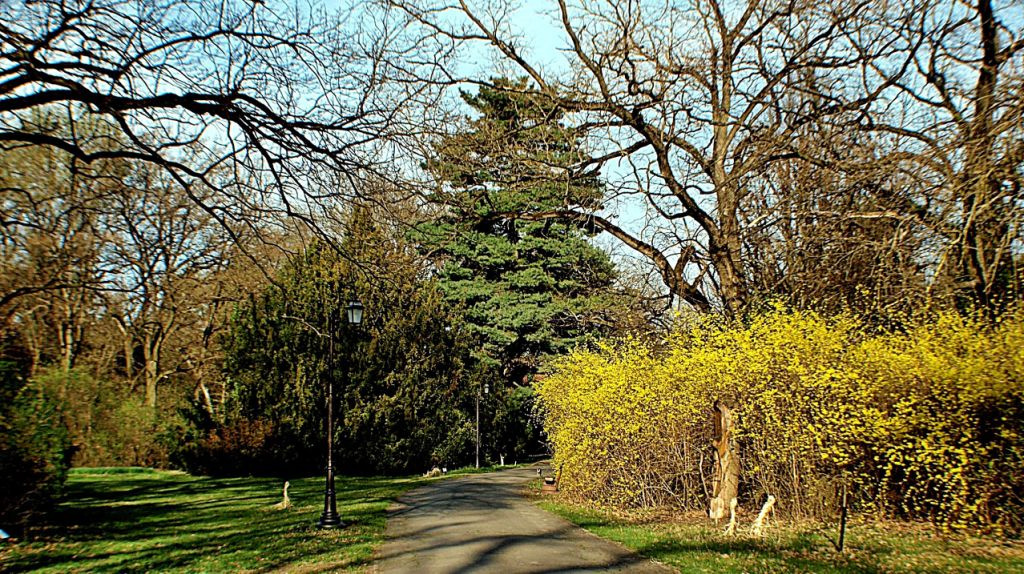Szarvasi Arborétum 50