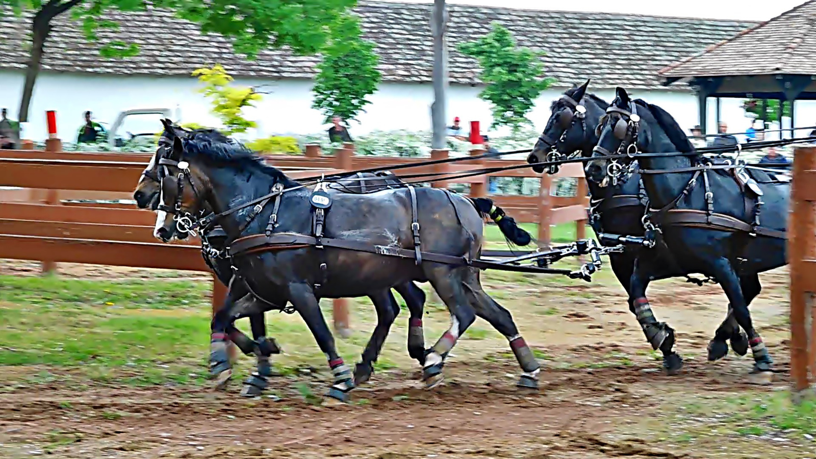 fogathajtás 14