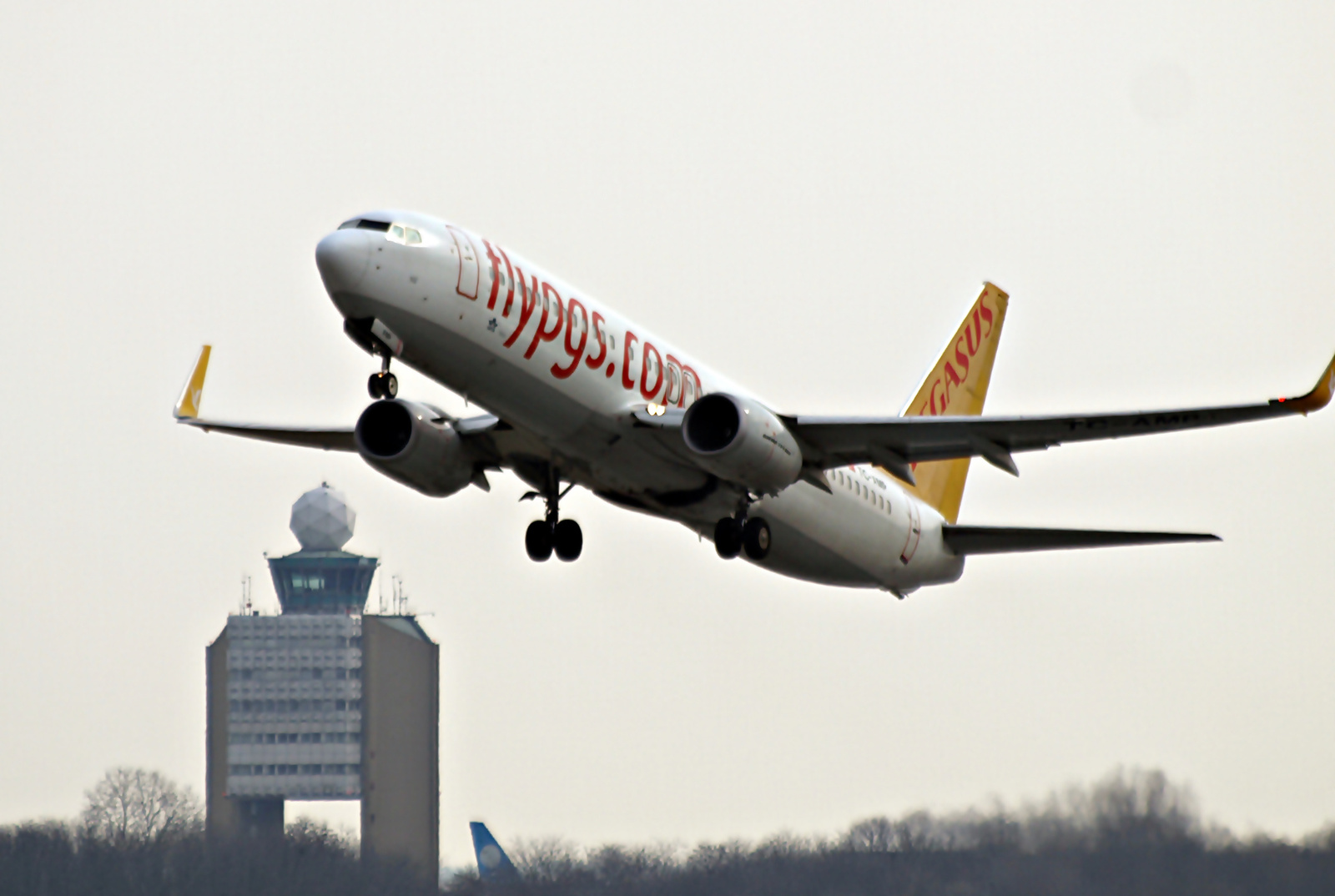 Pegasus Airlines flypgs.com