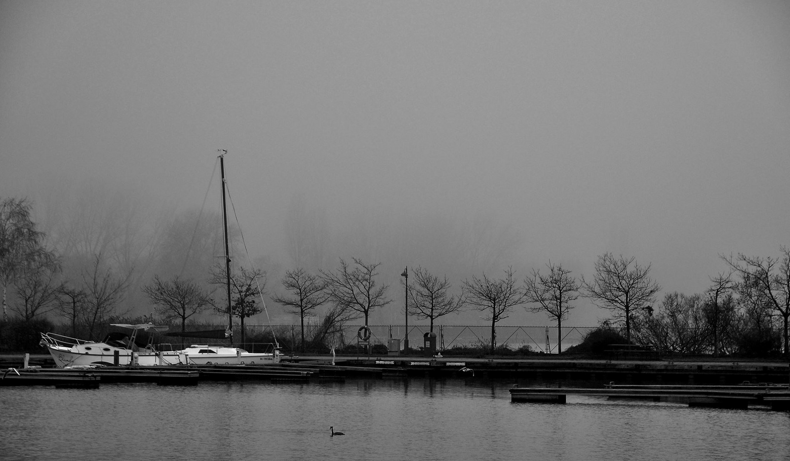 Kikötő ködbenFF