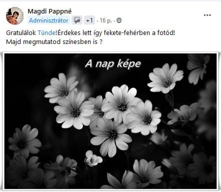 A nap képe FFF